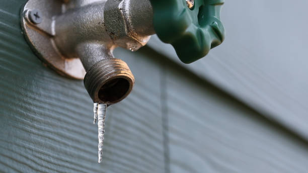 Best Same-Day Plumbing Service  in Friona, TX